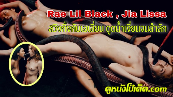 โป๊ แหย่หี แหกหี แทงหี เสียวหี